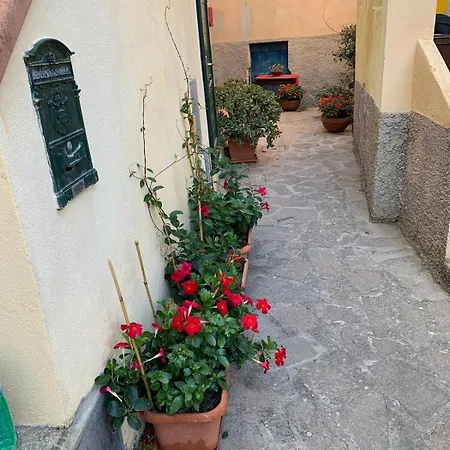 Bilocale Becky - Al Cotone Apartment *